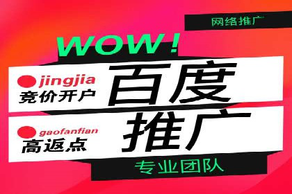 深度解析：百度SEM代运营成功案例分享